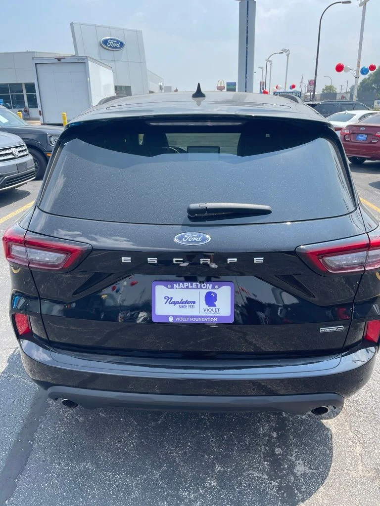 Used 2025 Black Ford ST-Line Elite image 4