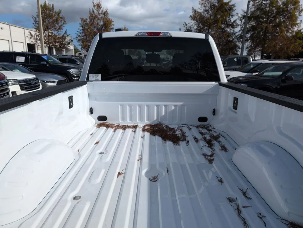 New 2026 White Ford XLT image 26