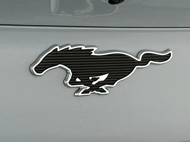 New 2026 Gray Ford Premium image 27