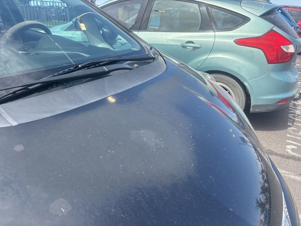 Used 2010  Honda Base image 3
