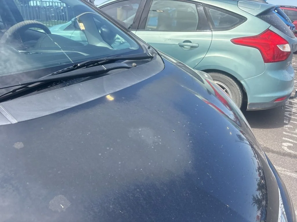 Used 2010  Honda Base image 3