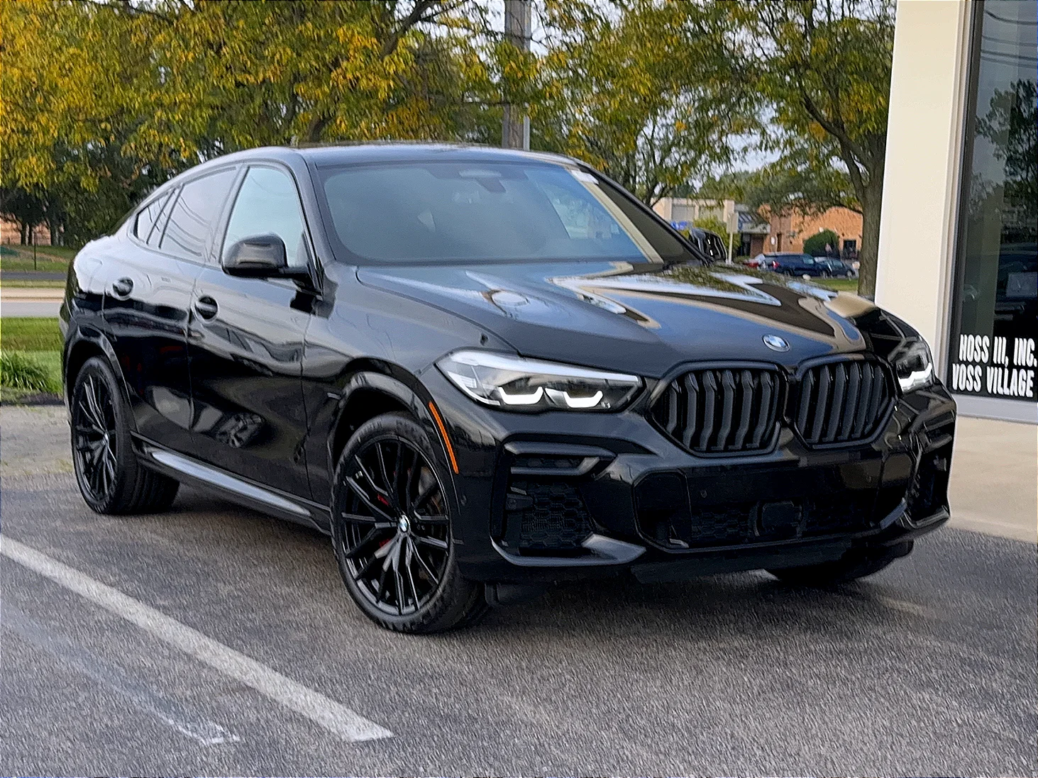 2022 BMW X6