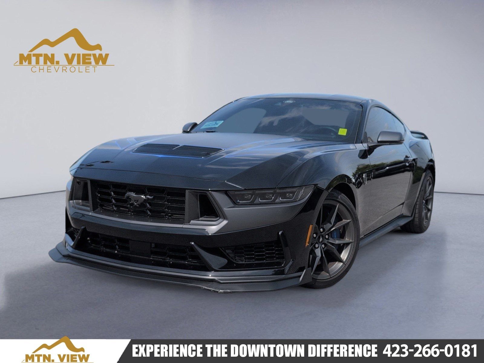 2025 Ford Mustang Dark Horse's photo