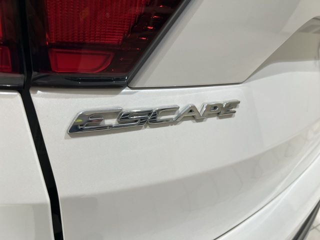 Used 2019 White Ford Titanium image 27