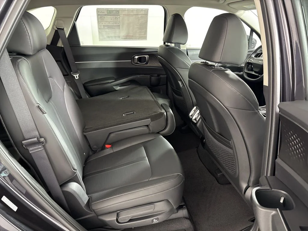 New 2026 Panthera Metal Kia S image 42