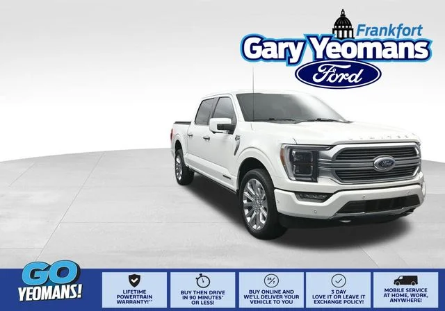 Used 2023 Star White Ford Limited image 1