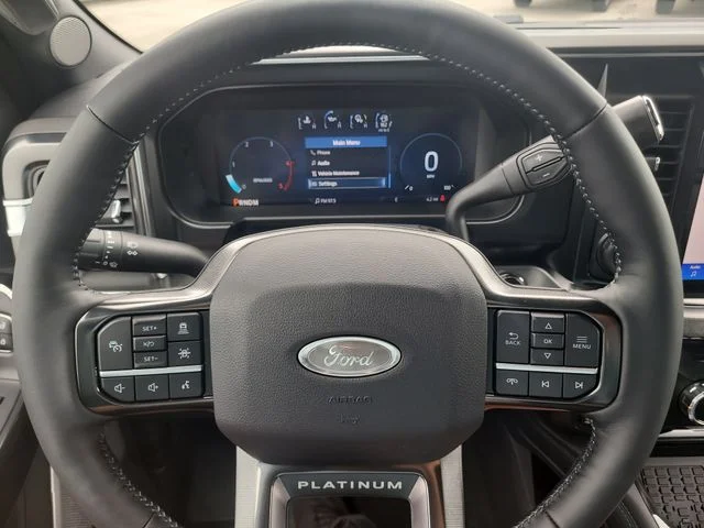New 2026 Gray Metallic Ford Platinum image 32