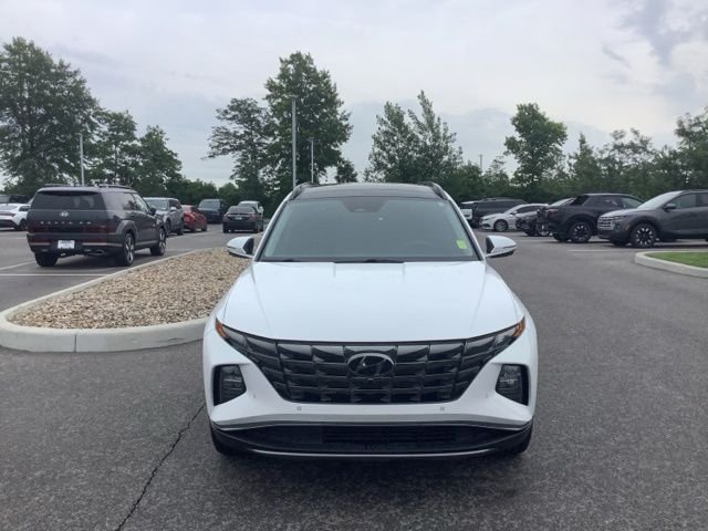 Used 2024 White Pearl Hyundai Limited image 8