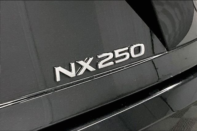 2024 Lexus NX 250 - Photo 9