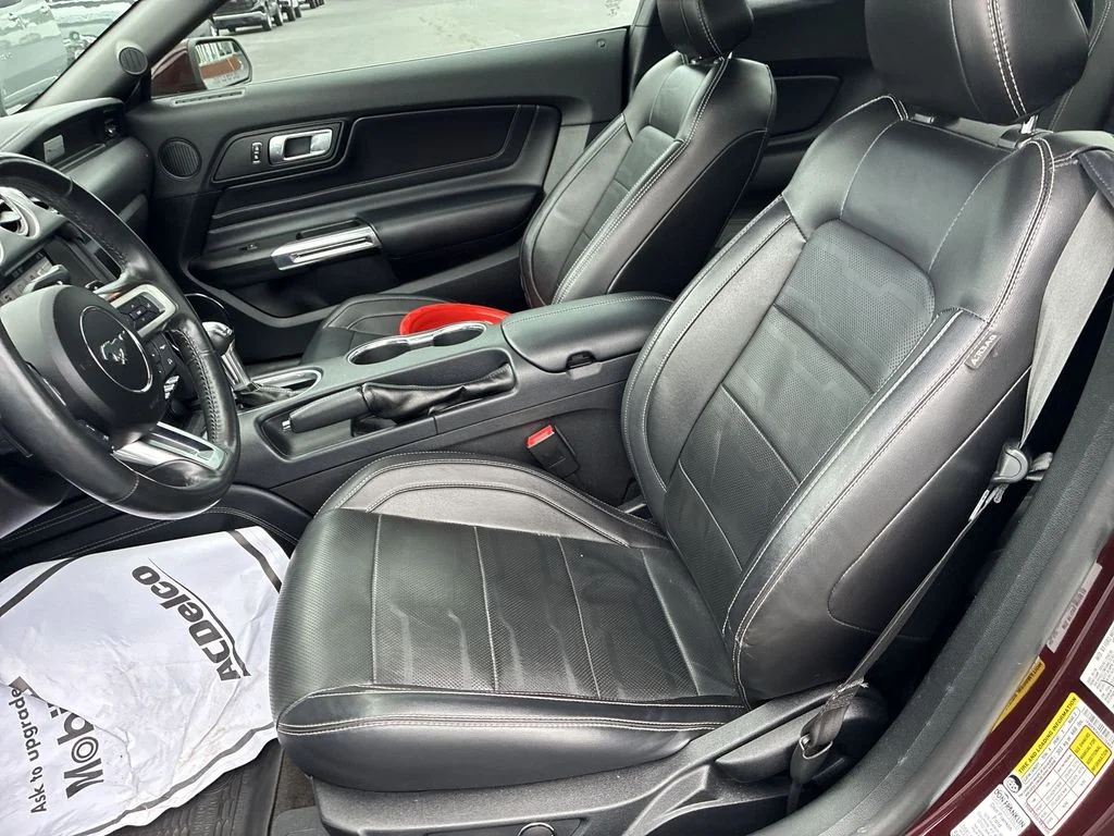Used 2018 Red Ford EcoBoost Premium image 11
