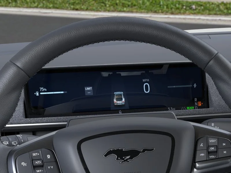 New 2026 Shadow Black Ford Premium image 28