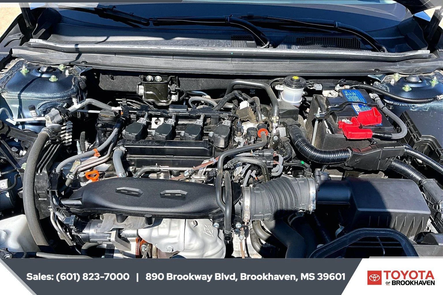 Used 2024 Canyon River Blue Metallic Honda EX image 8
