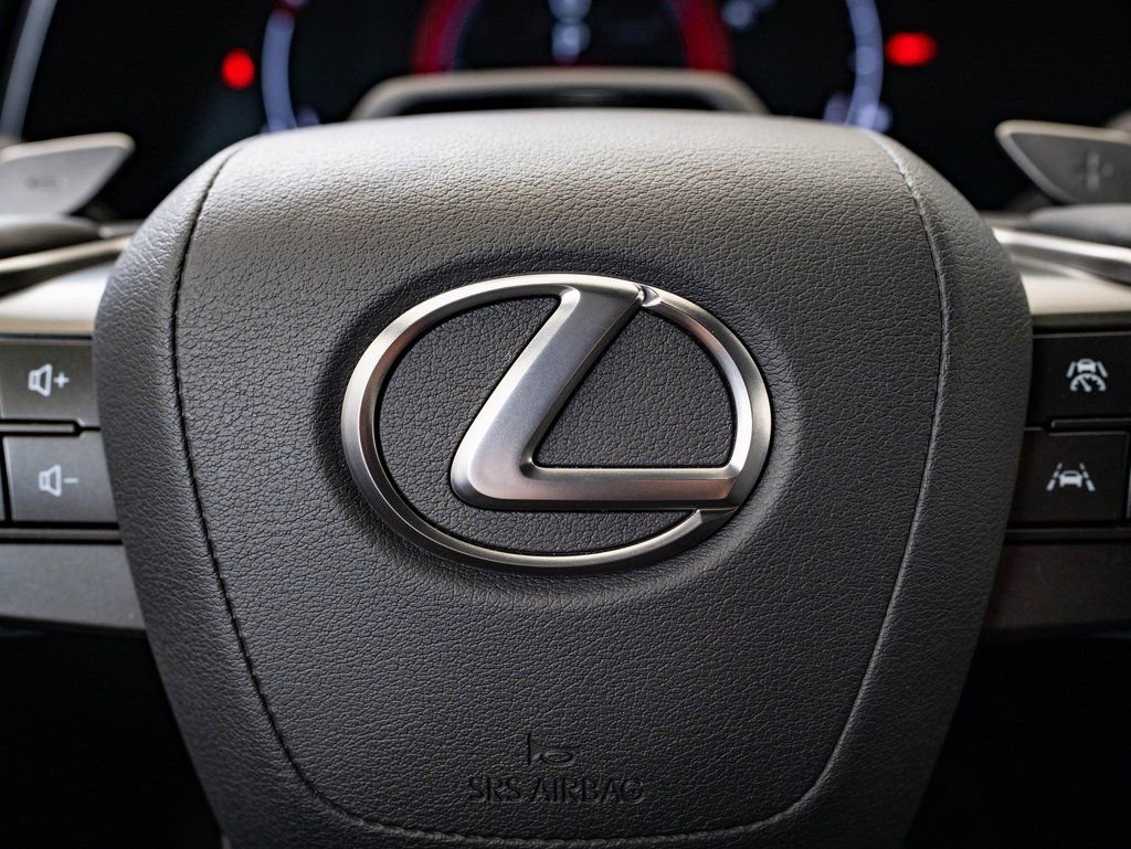 2024 Lexus RX 350 - Photo 24