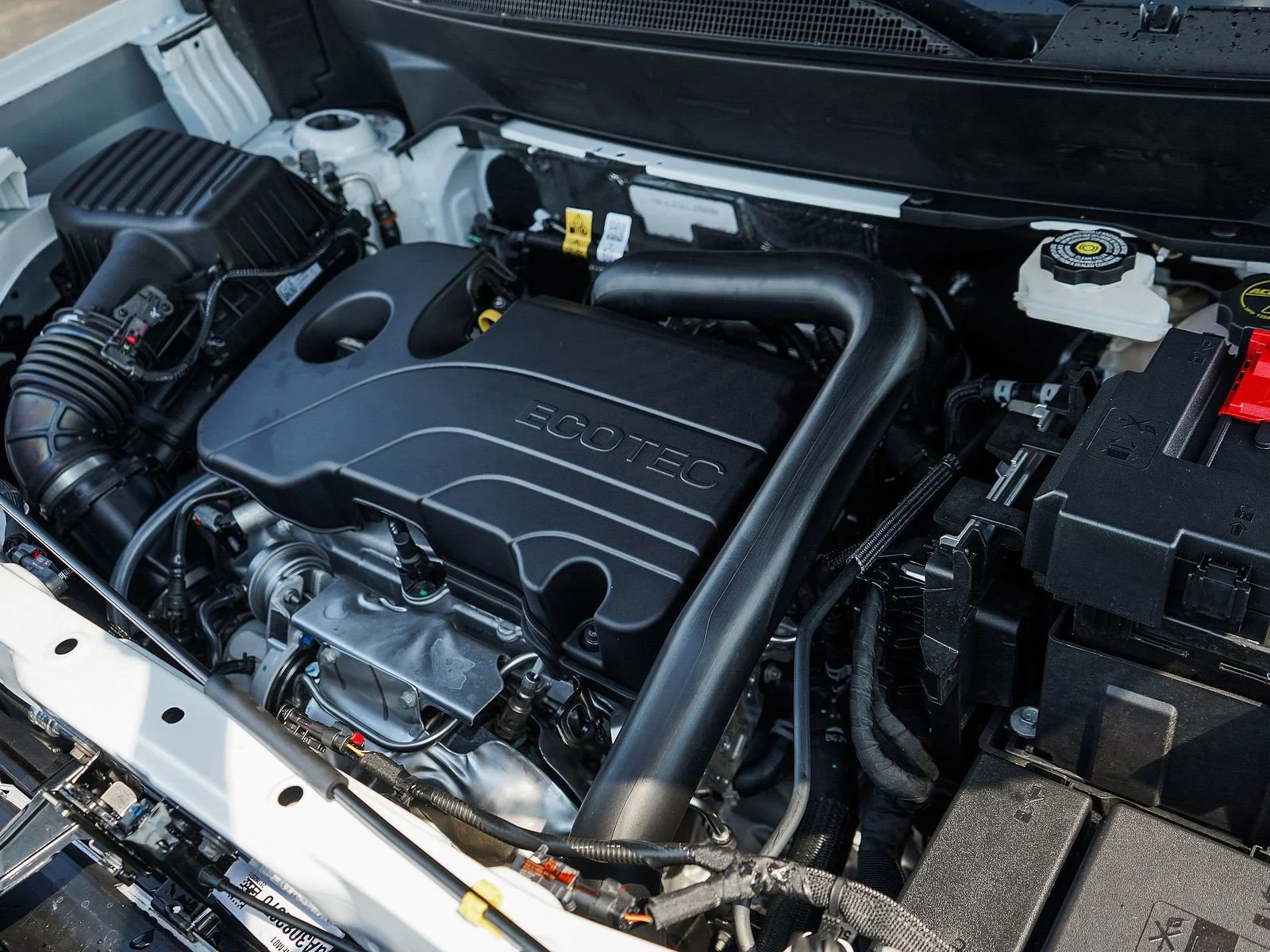 2026 GMC Terrain Elevation - Photo 7