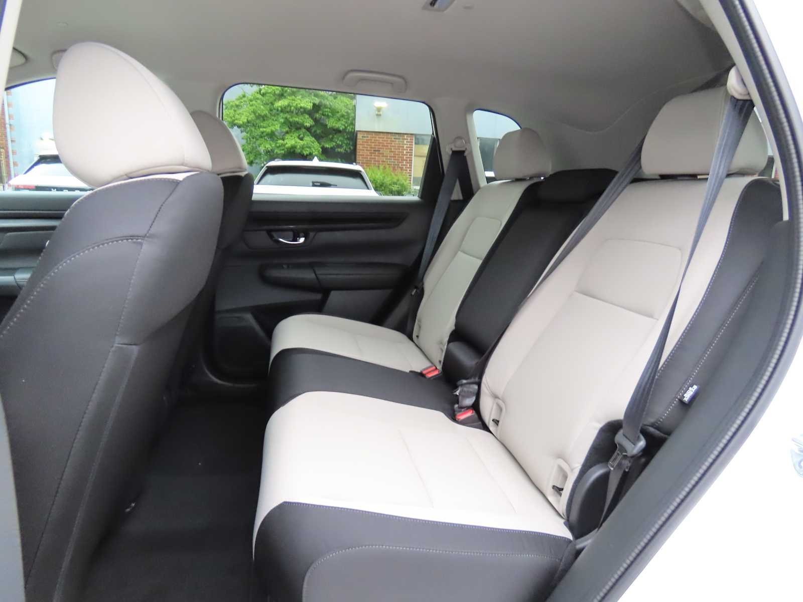 New 2026 Platinum White Pearl Honda LX image 13