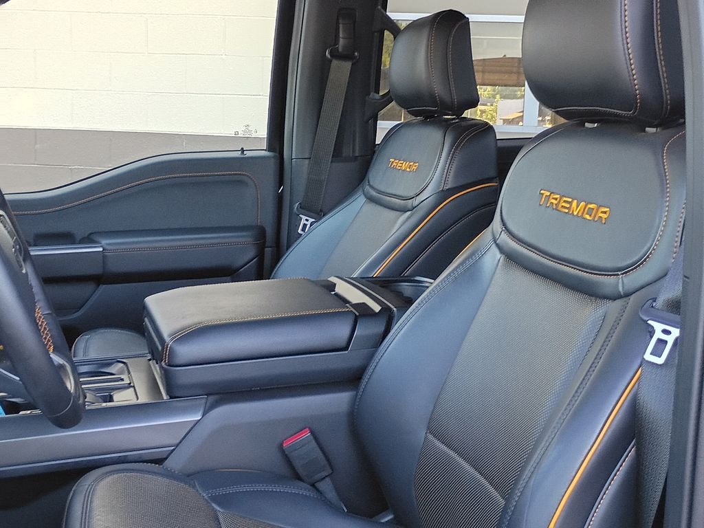 2025 Ford F-150 Tremor - Photo 18