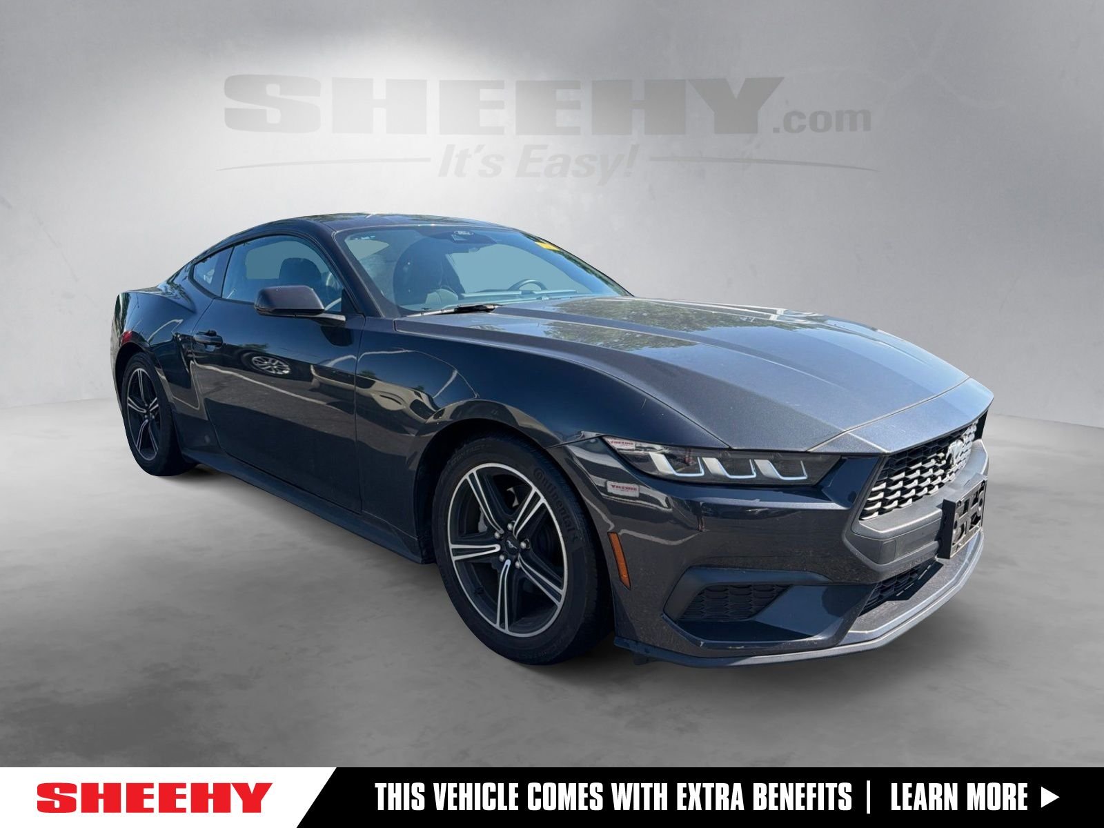 Used 2024 Gray Ford EcoBoost image 1