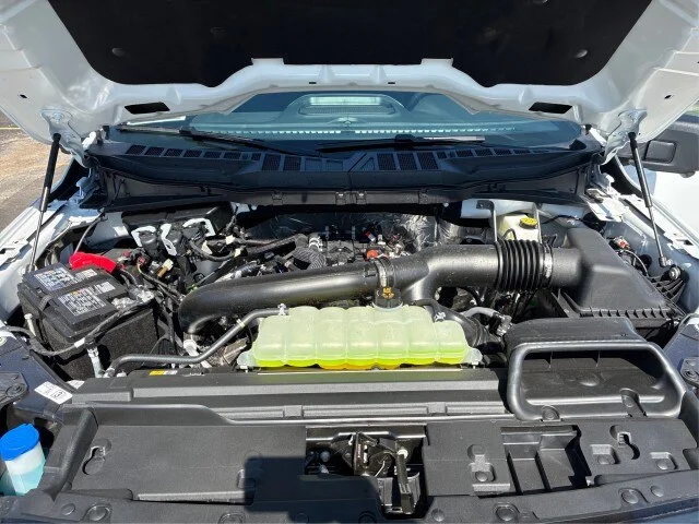 New 2026 Oxford White Ford XLT image 39