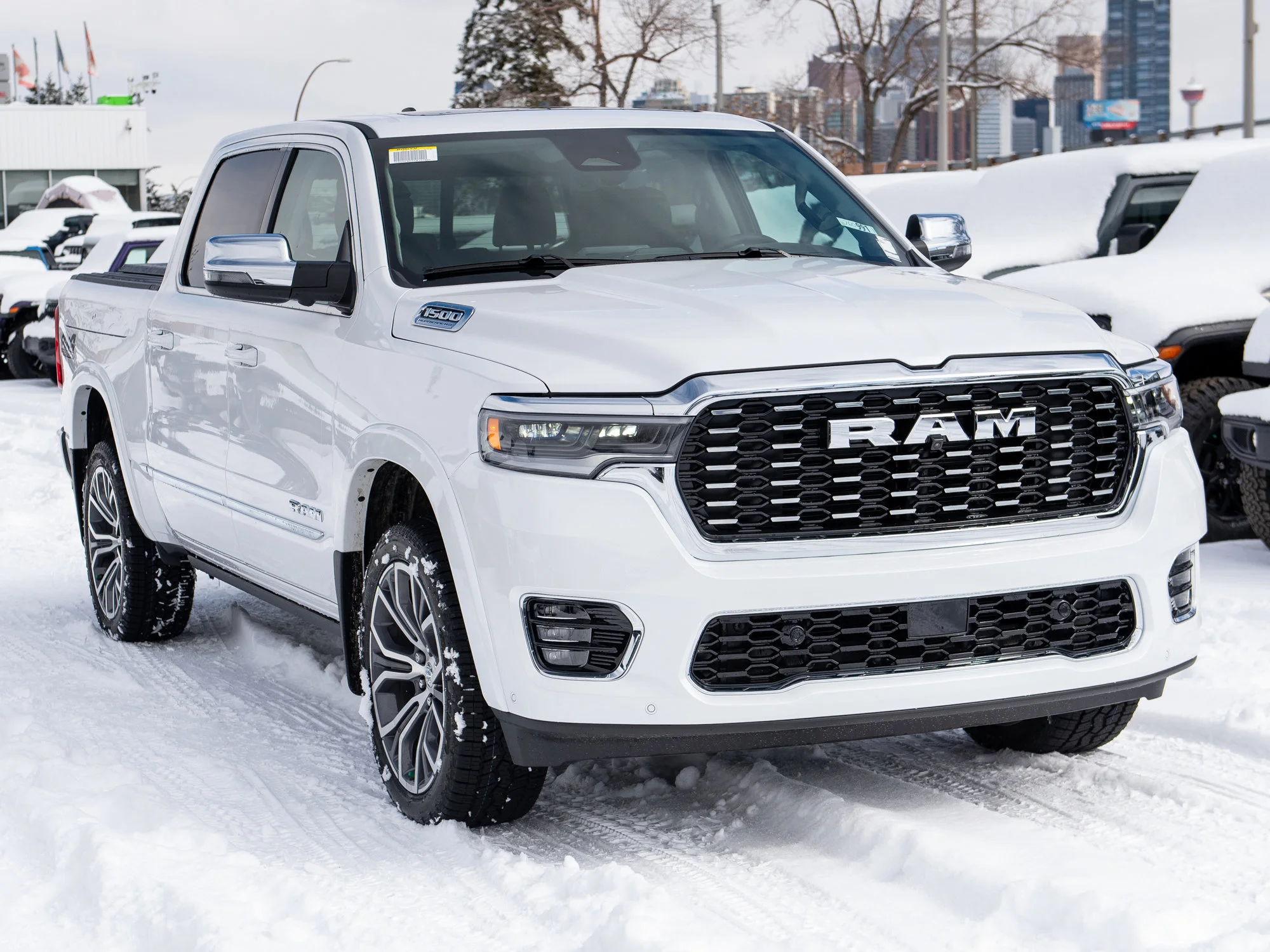 New 2026 White RAM Tungsten* image 10