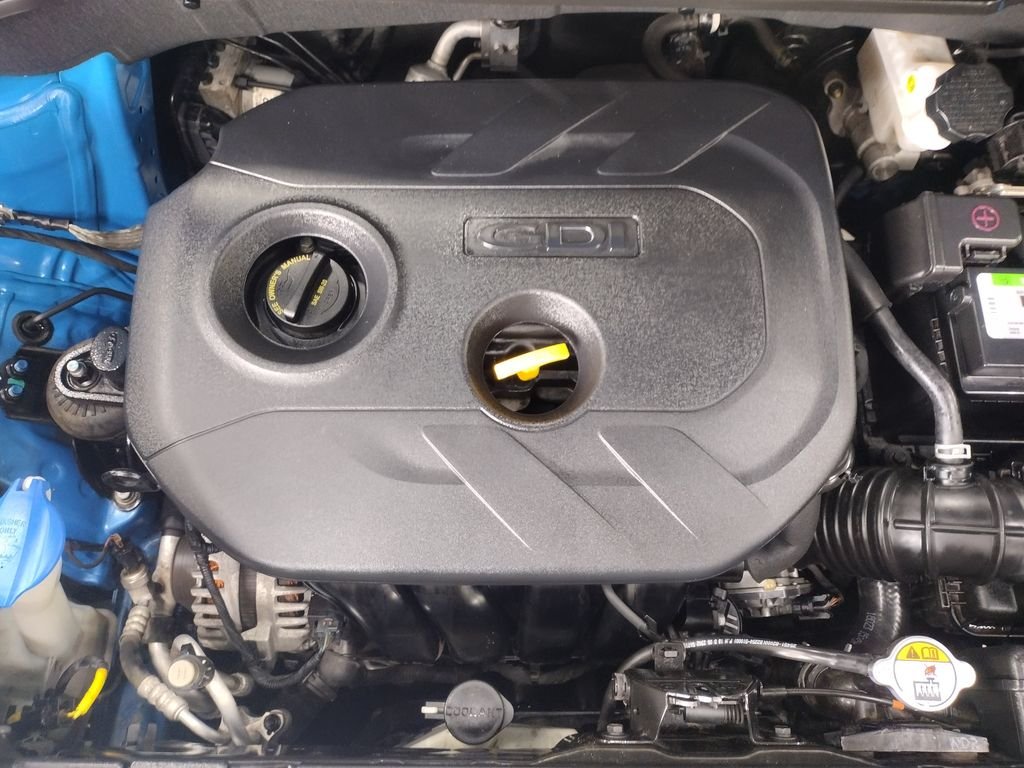 Used 2019 Caribbean Blue Kia Plus image 7