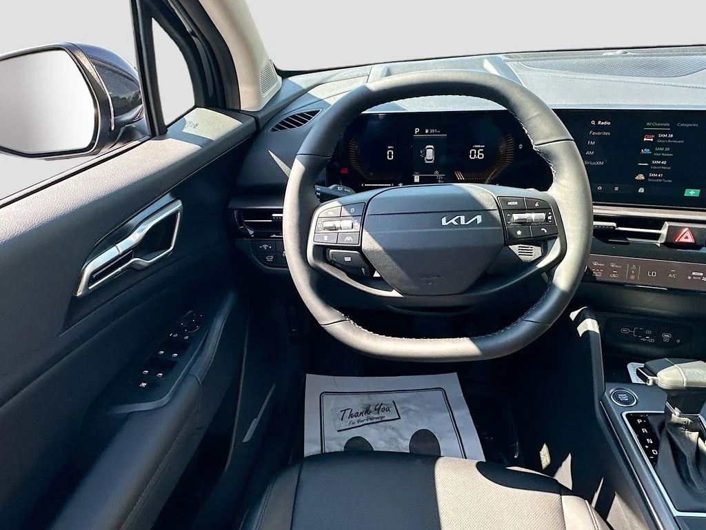 New 2026 Panthera Metal Kia EX image 22