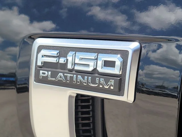 New 2026 Black Metallic Ford Platinum image 9