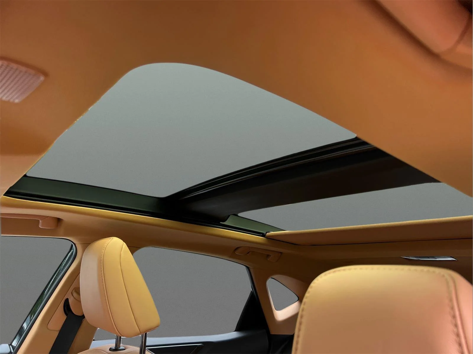 New 2026 Caviar Lexus NX 350 Luxury image 25