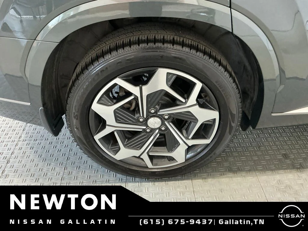 Used 2022 Rainforest Hyundai Calligraphy image 59