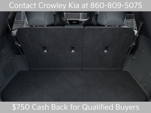 New 2027 Black Jade Green Kia X-LINE SX image 19