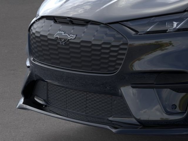 New 2026 Shadow Black Ford Premium image 17
