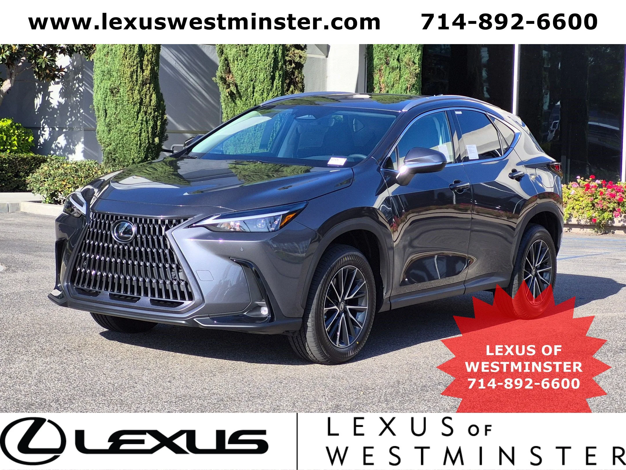 2026 Lexus NX  350 PREMIUM AWD