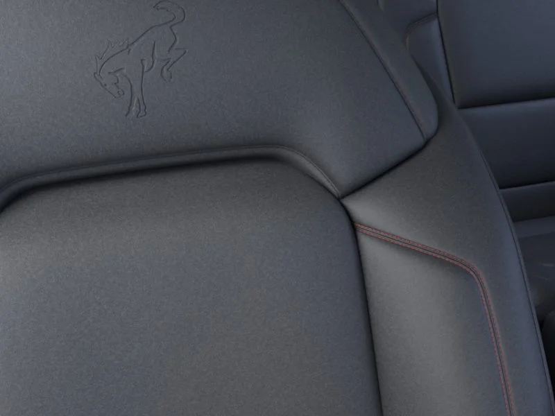 2025 Ford Bronco 2-Door Stroppe - Photo 18