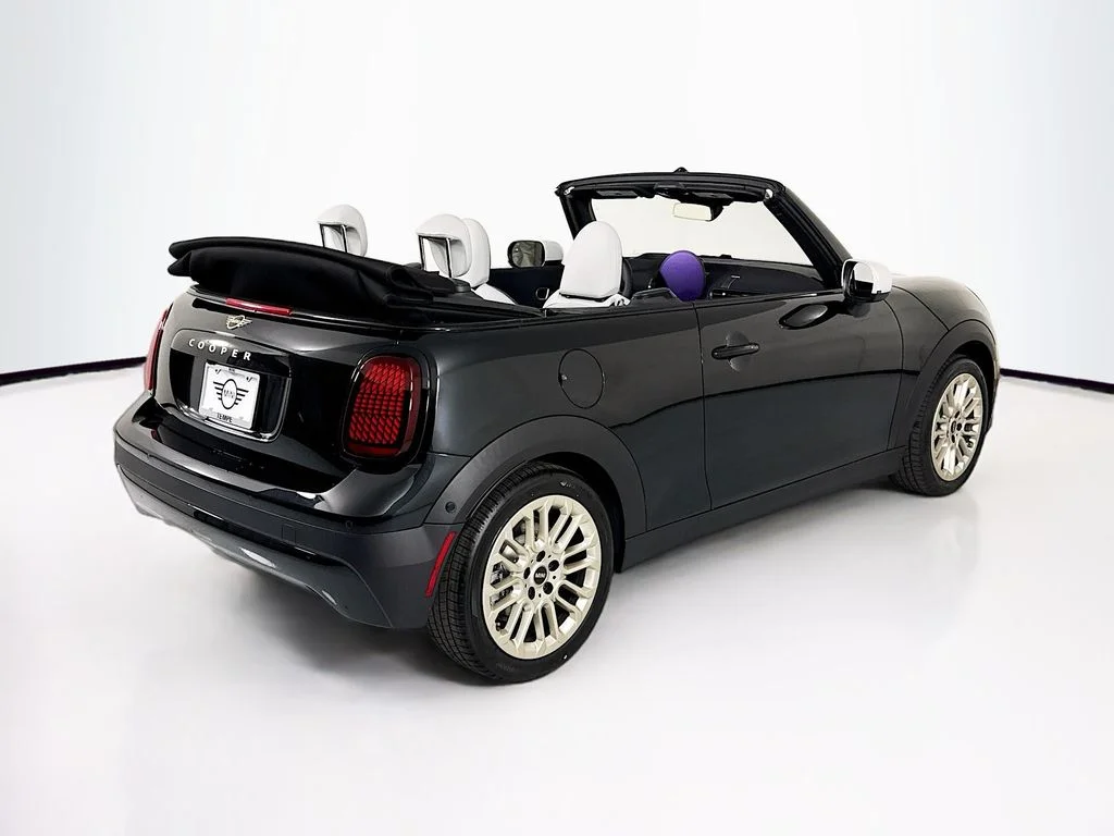 New 2026 Black MINI  image 5