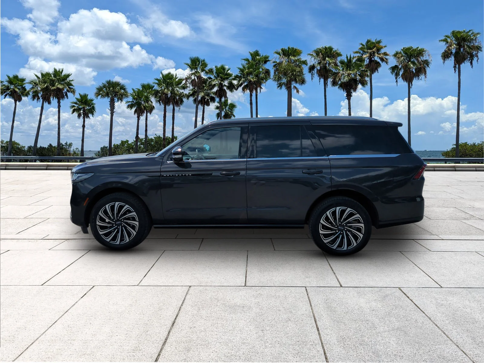 Used 2025 Starlight Lincoln Black Label image 6