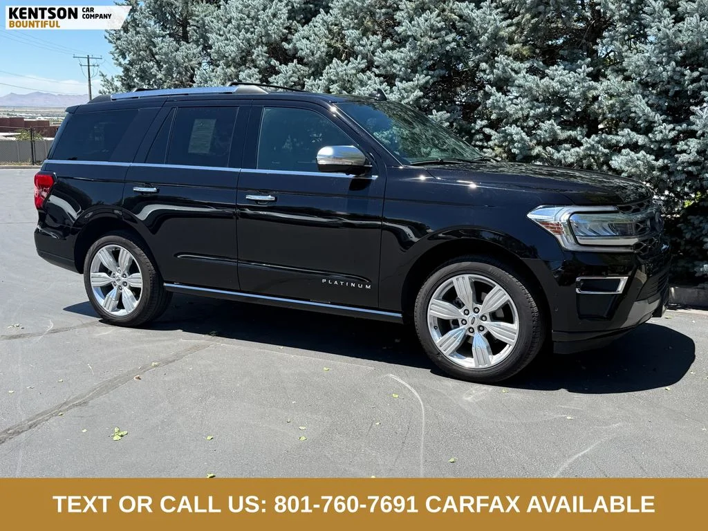 2024 Ford Expedition Platinum - Photo 10