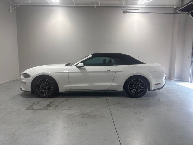 Used 2020 White Ford EcoBoost Premium image 10