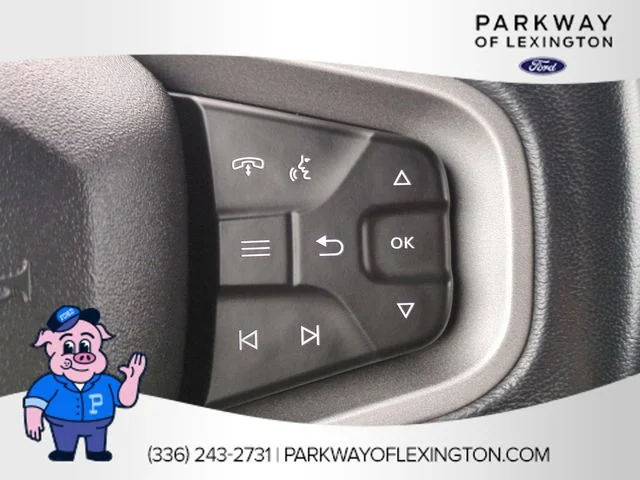 Used 2023 Blue Ford Wildtrak image 18