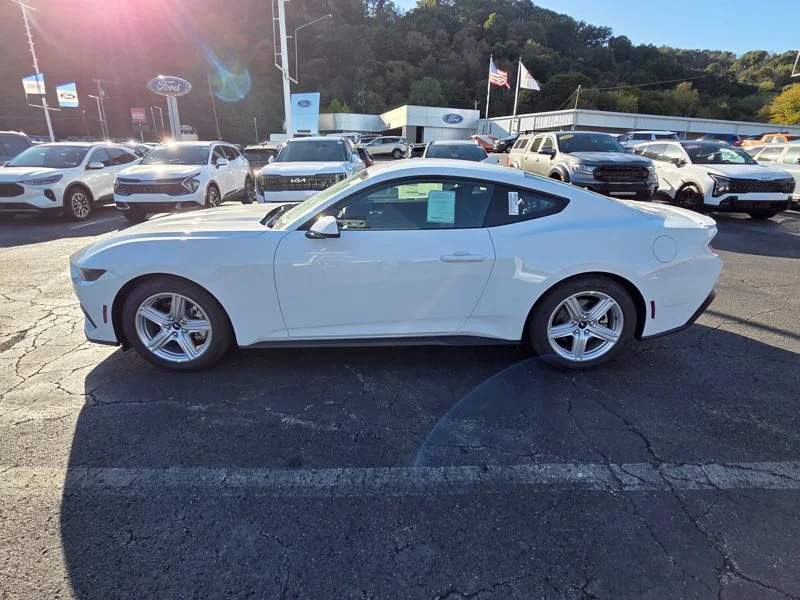 New 2026 Oxford White Ford EcoBoost® Premium Fastback image 4