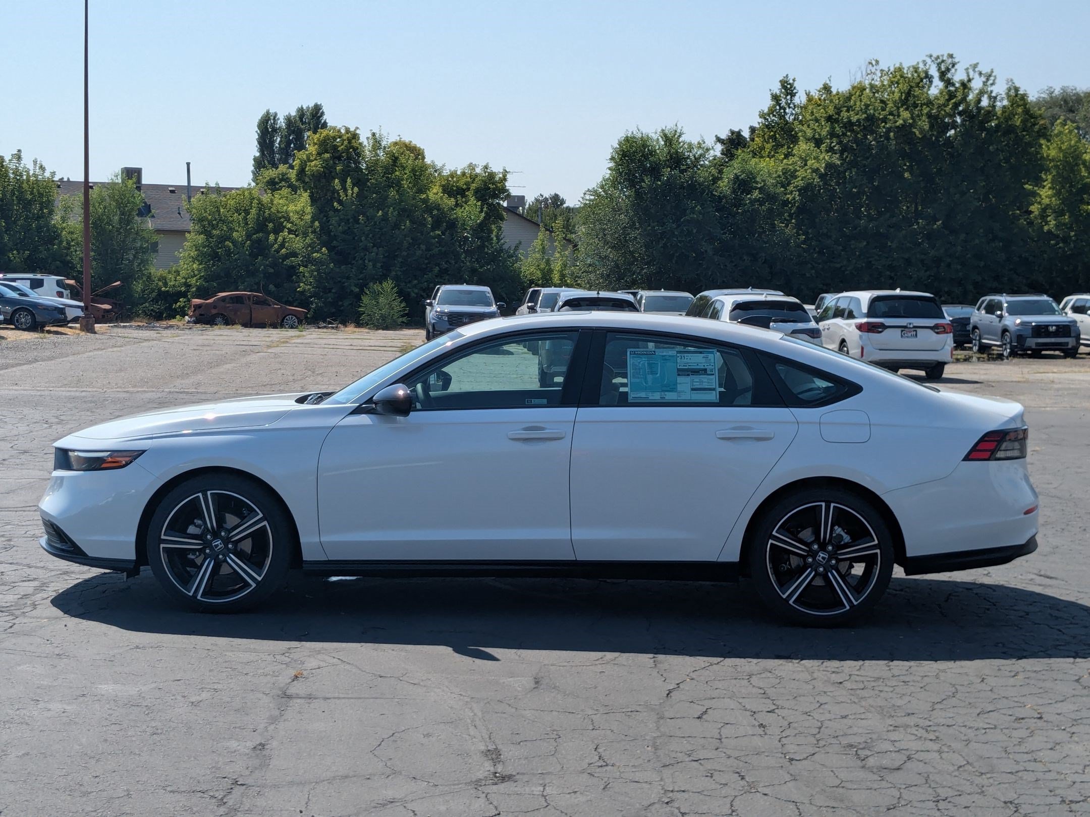 New 2026 Platinum White Pearl Honda SE image 7