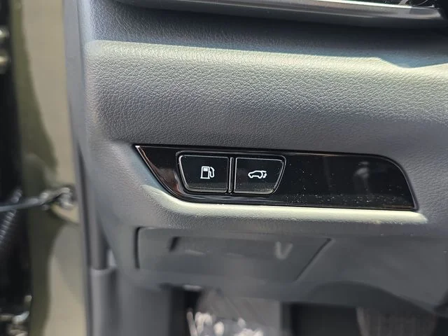 New 2026 Nori Green Pearl Lexus PREMIUM image 24