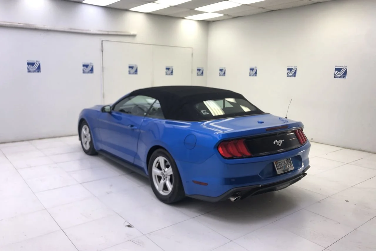 Used 2019 VELOCITY_BLUE Ford EcoBoost image 5