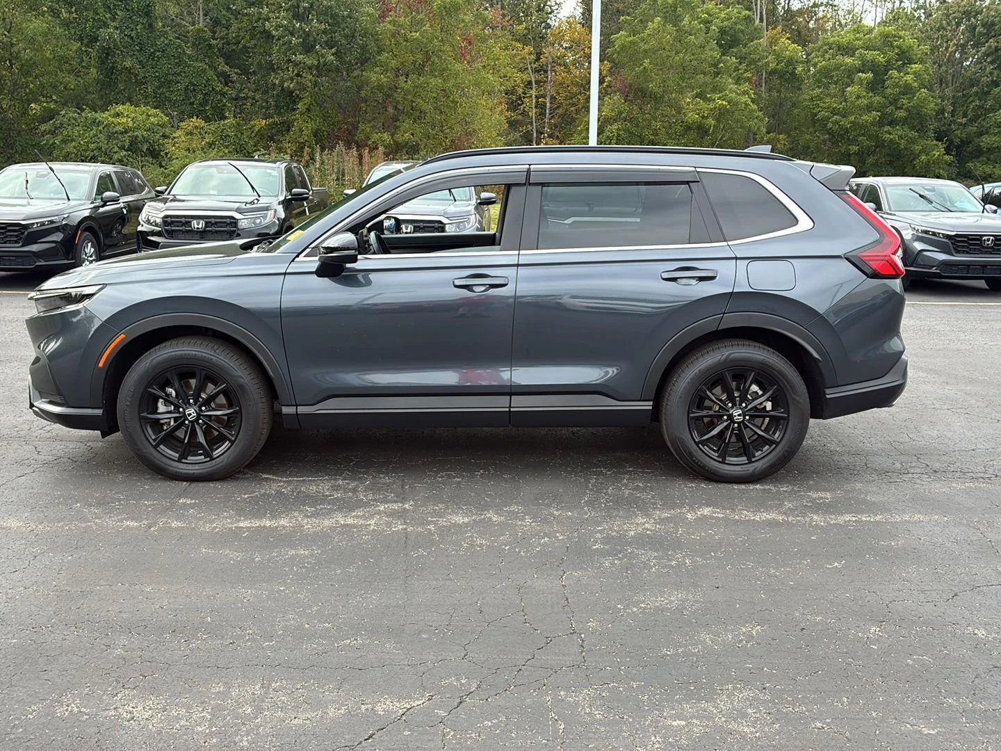 Used 2024 Meteorite Gray Metallic Honda Sport image 16
