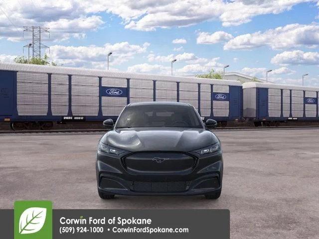 New 2026 Shadow Black Ford Premium image 8