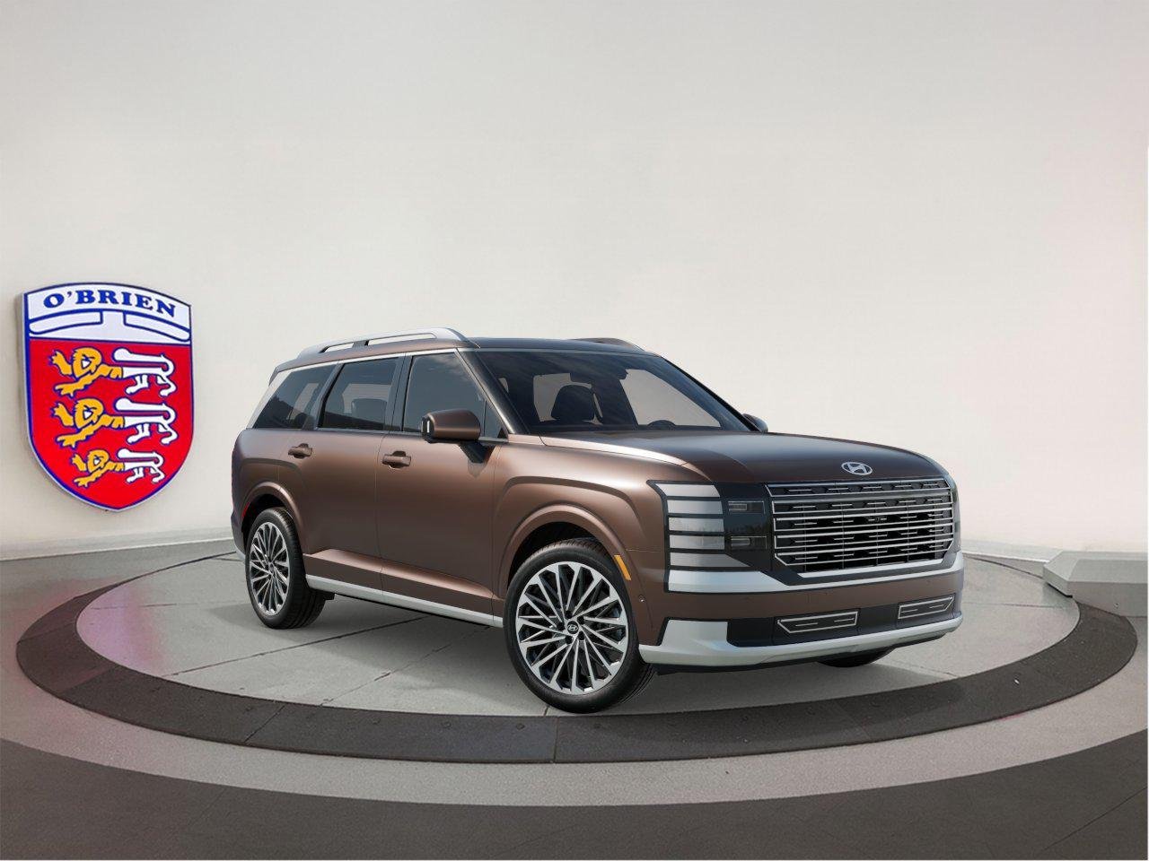 New 2026 Earthy Brass Matte Hyundai Calligraphy image 40