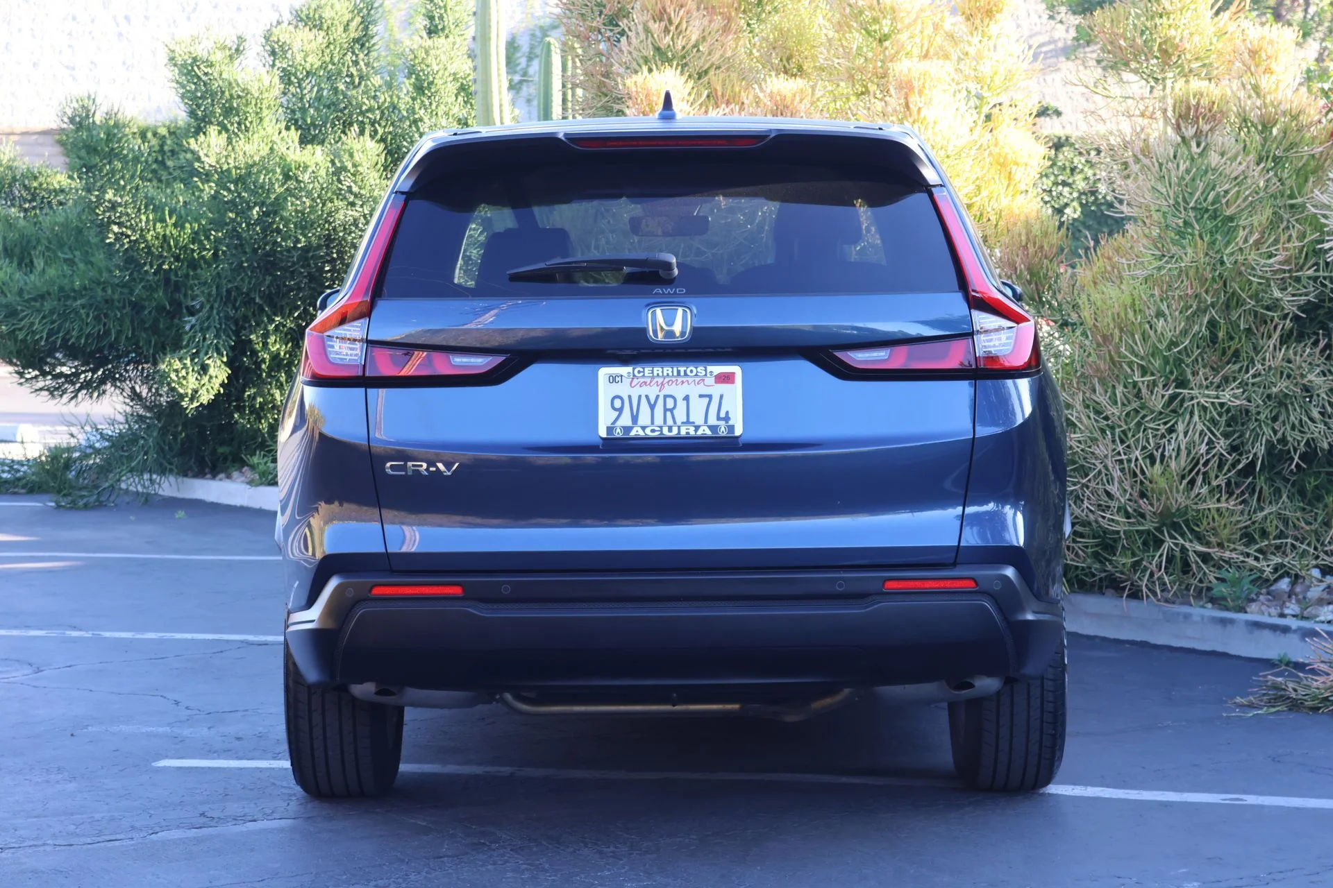 Used 2025  Honda EX-L image 4
