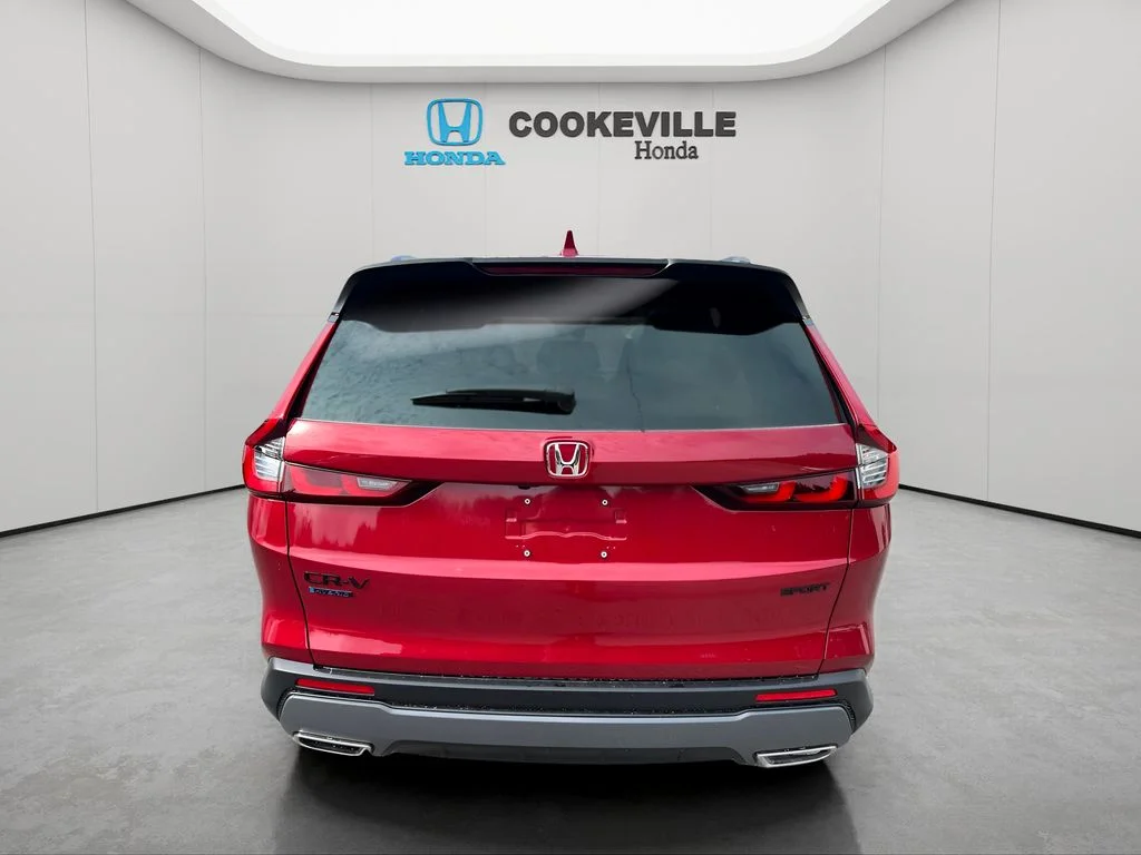 Used 2026 Red Honda Sport image 7