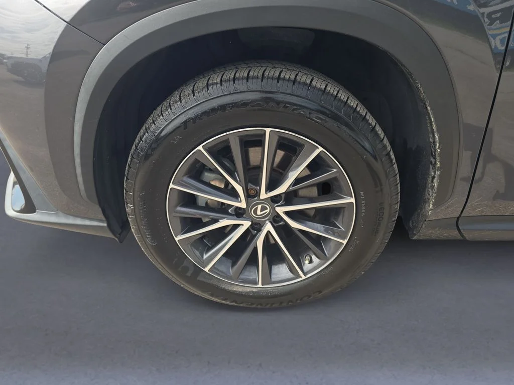 Used 2022 Cloudburst Gray Lexus Premium image 10