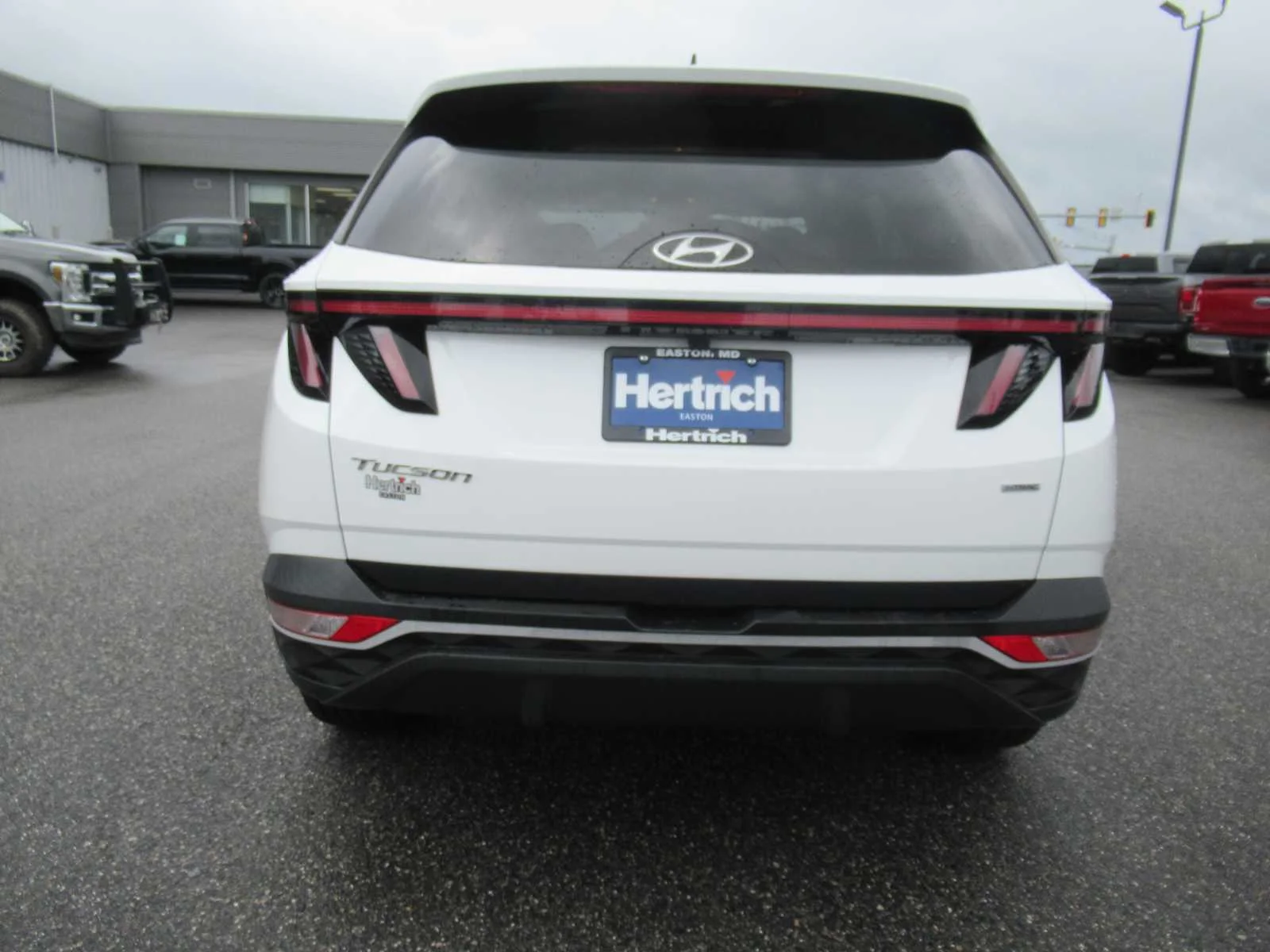 Used 2022 Quartz White Hyundai SEL image 6
