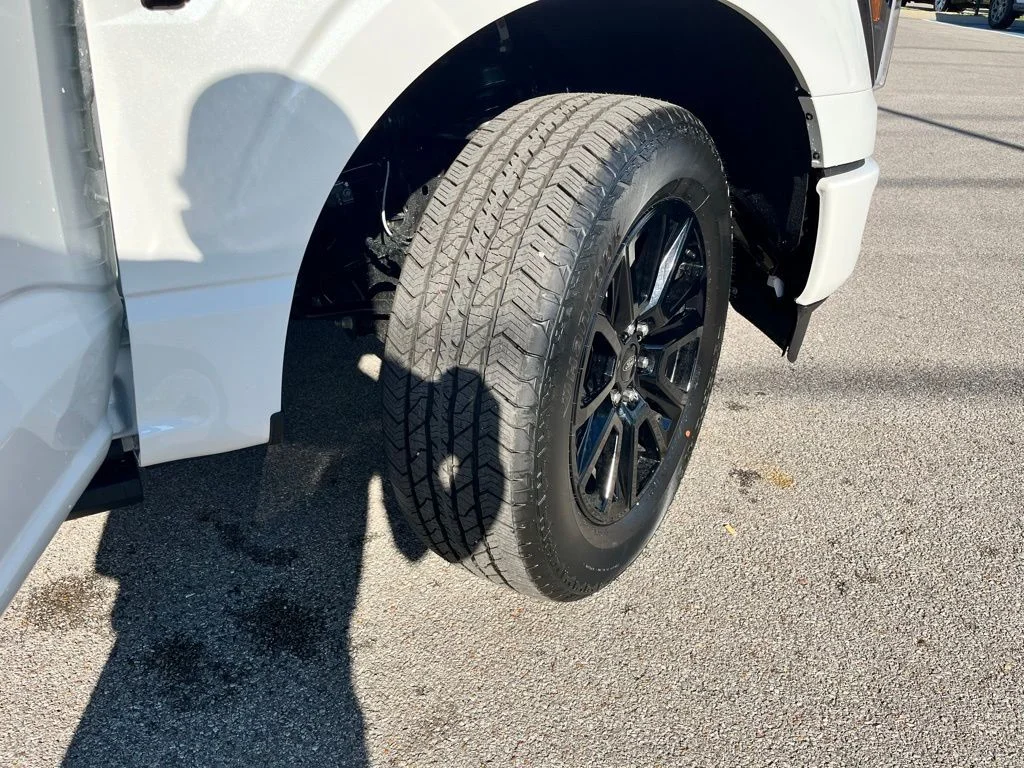 New 2026 White Ford Platinum image 6
