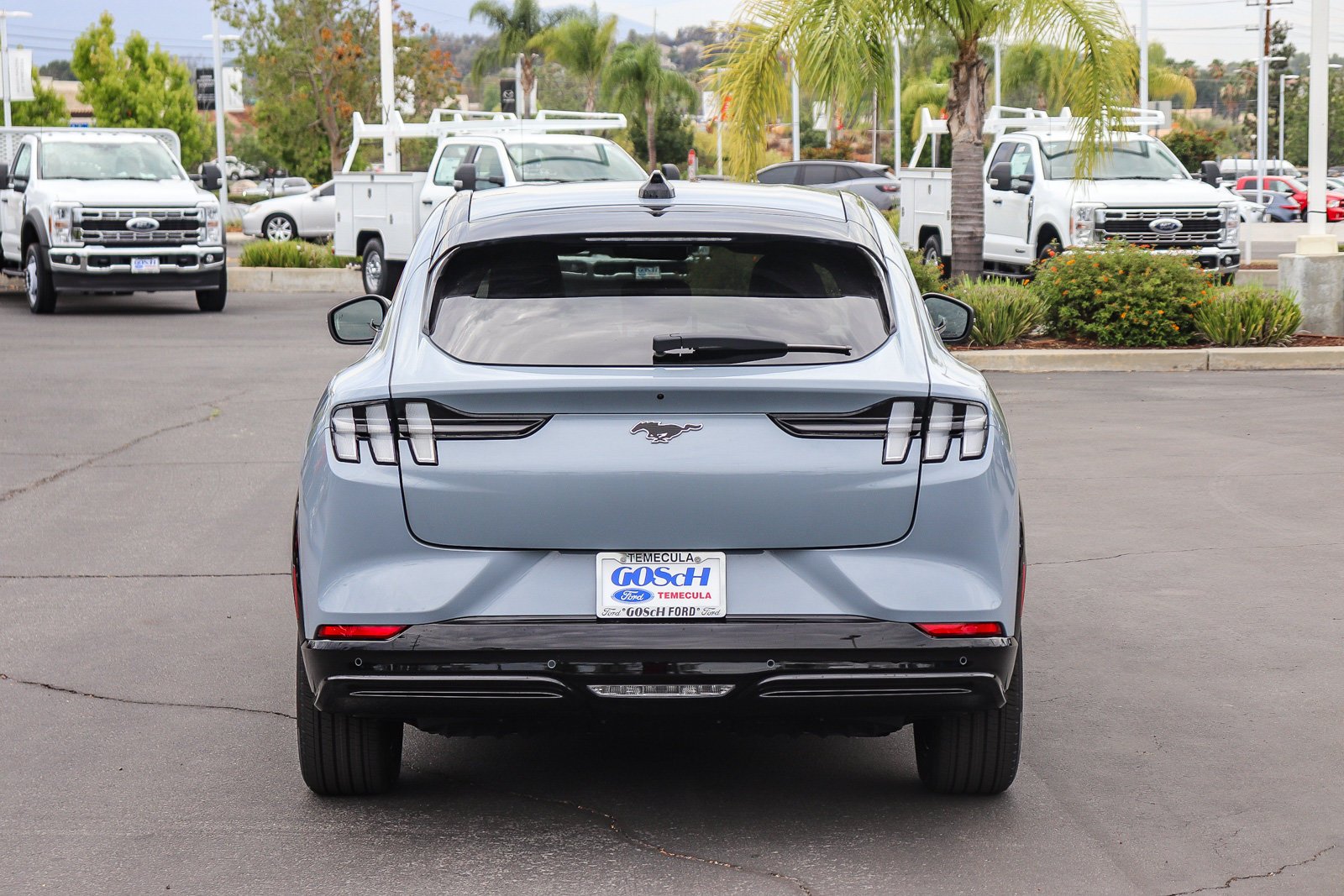 New 2026 Glacier Gray Metallic Tri-coat Ford Premium image 6